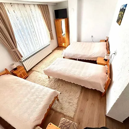 Meraklii Guest house *
