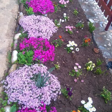Meraklii Guest house Smilyan (Smolyan)